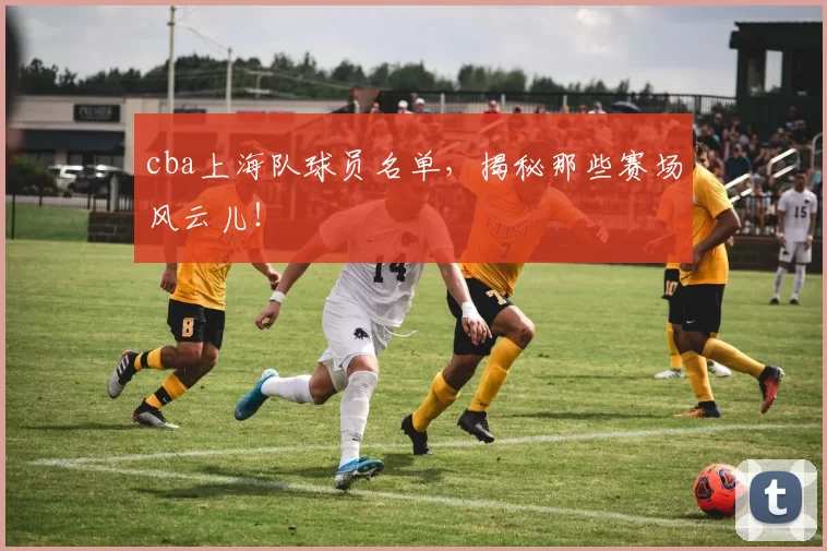 cba上海队球员名单，揭秘那些赛场风云儿！
