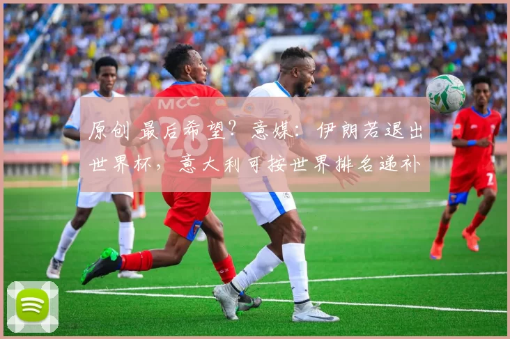 原创 最后希望?意媒:伊朗若退出世界杯,意大利可按世界排名递补参赛